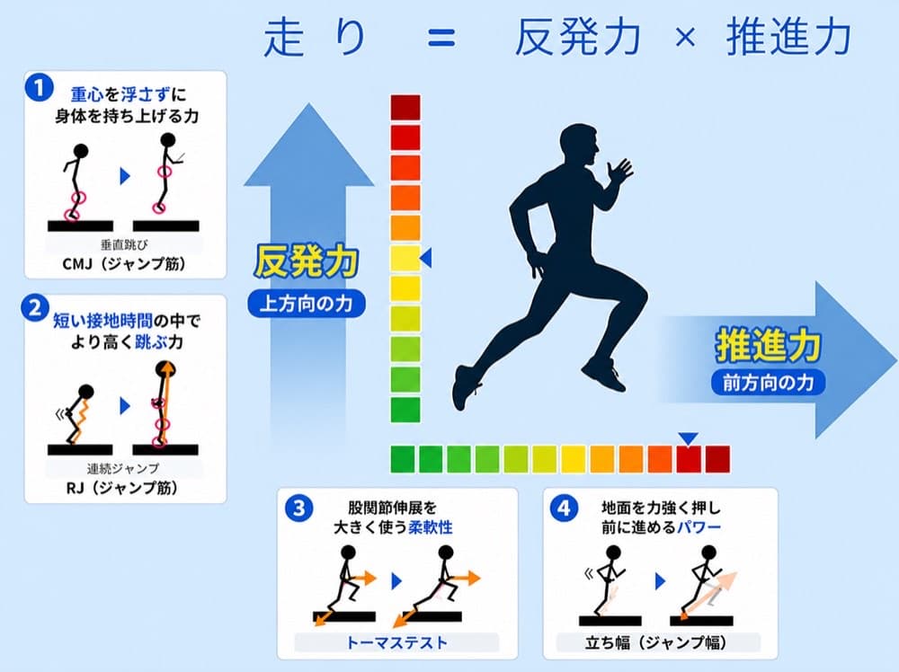 測定イメージ