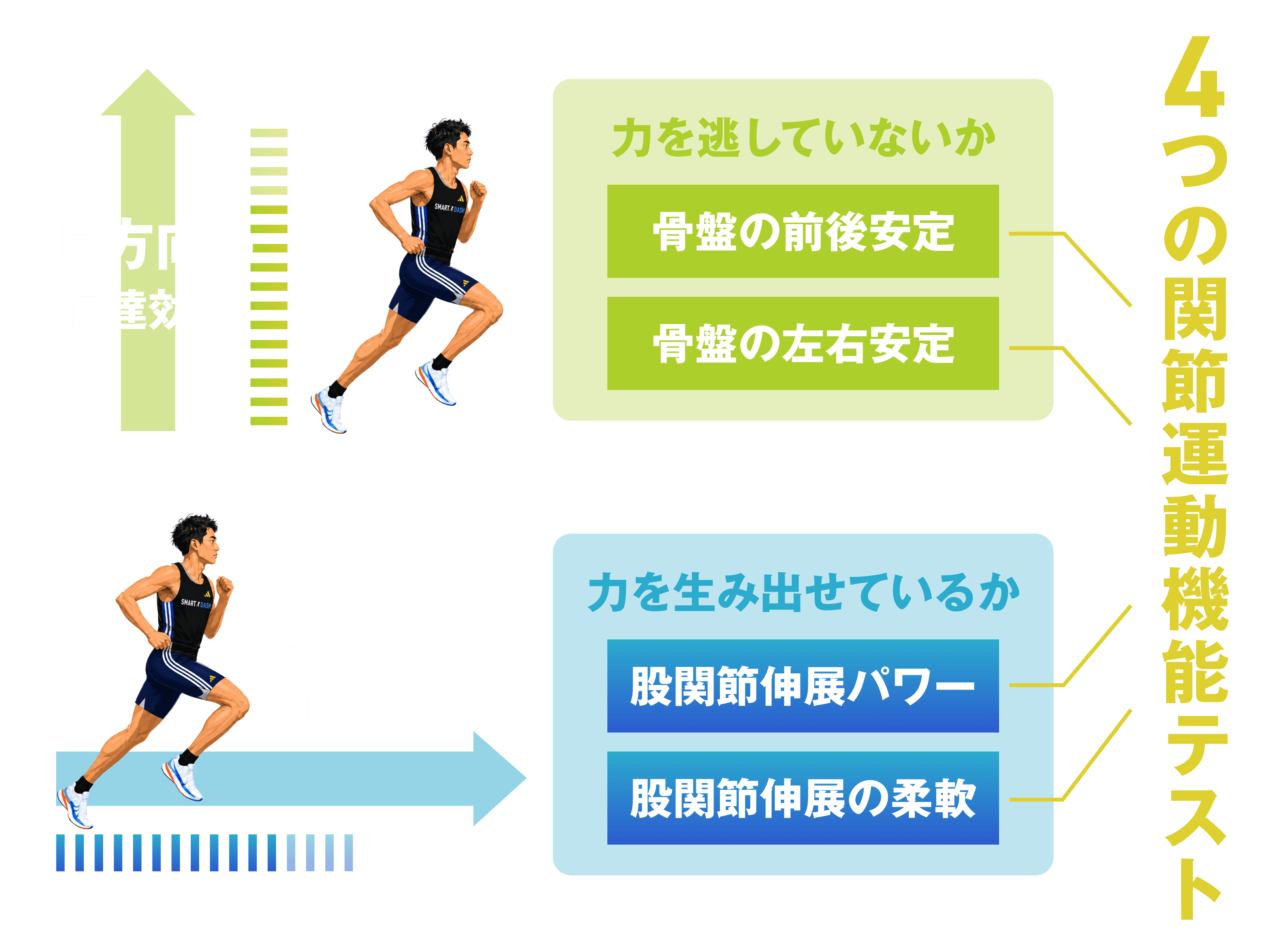 4つの関節運動機能テスト：上方向・前方向の伝達効率と骨盤・股関節の安定性図解