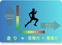 走り=反発力×推進力の図解(基礎的な理論インプット)