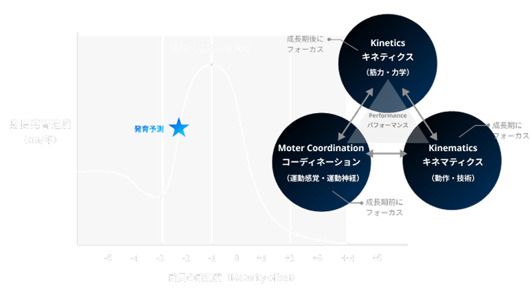 標準化成長速度曲線とKinetics/Moter Coordination/Kinematicsの関係図(発育予測の説明図)